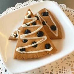 Paleo Blueberry Scone