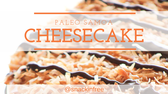 paleo cheesecake