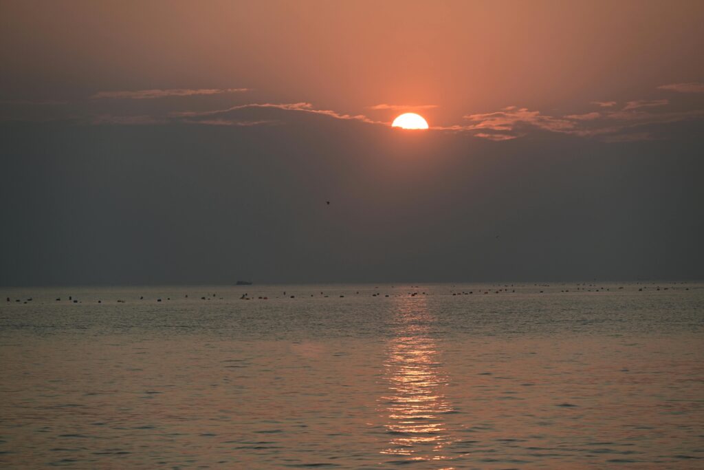 Peaceful morning light representing optimism and healing