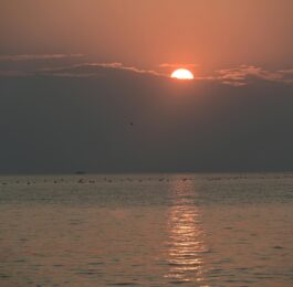 Peaceful morning light representing optimism and healing